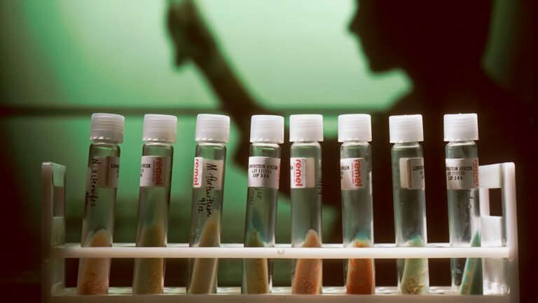 Rack of sealed sample tubes in a research laboratory freezer area